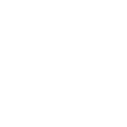 Claims Settlements Services
